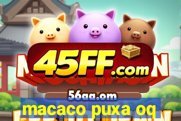 macaco puxa oq